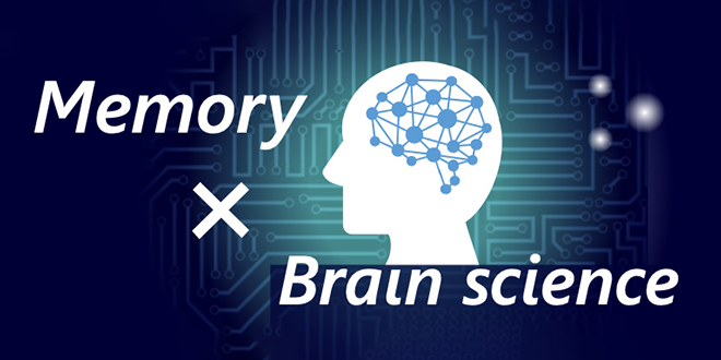 Memoria × Ciencia del cerebro